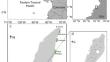 Size distribution of macroinvertebrate communities associated with live and dead coral