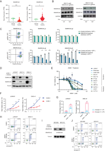 Oncogenic dependency on SWI/SNF chromatin remodeling factors in T-cell acute lymphoblastic leukemia