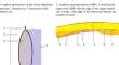 Clinical Evaluation of the Effectiveness of the New Mesh Prosthesis “Niprocel”