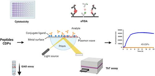 A Snake Venom Peptide and Its Derivatives Prevent Aβ42 Aggregation and Eliminate Toxic Aβ42 Aggregates In Vitro