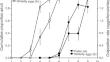 A predatory mite as potential biological control agent of Bemisia tabaci on tomato plants