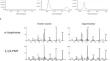 Exploring the Nature of Arhopalus ferus (Coleoptera: Cerambycidae: Spondylidinae) Pheromone Attraction.