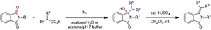 Synthesis of 1H-isoindolin-1-ones via a simple photodecarboxylative addition of carboxylates to phthalimides and evaluation of their antibiotic activity.