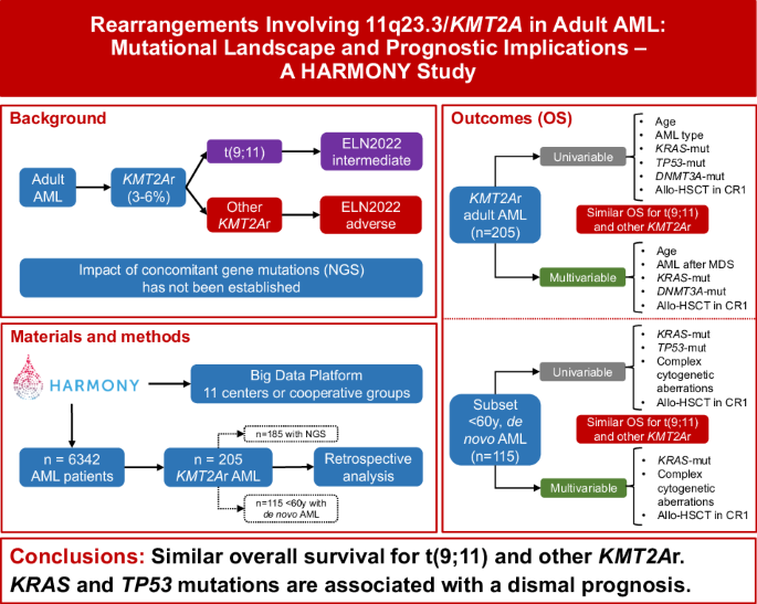 Rearrangements involving 11q23.3/KMT2A in adult AML: mutational landscape and prognostic implications – a HARMONY study