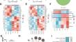 Delivery of miR-15b-5p via magnetic nanoparticle-enhanced bone marrow mesenchymal stem cell-derived extracellular vesicles mitigates diabetic osteoporosis by targeting GFAP.