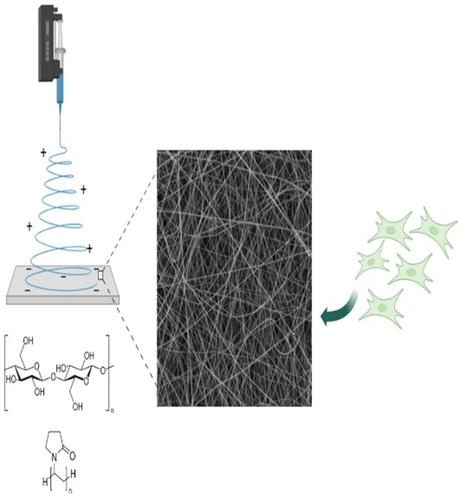 Fabrication of bacterial cellulose/PVP nanofiber composites by electrospinning