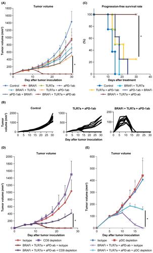 Tumor eradication by triplet therapy with BRAF inhibitor, TLR 7 agonist, and PD-1 antibody for BRAF-mutated melanoma