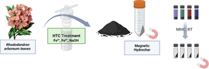 Unveiling the potential of Rhododendron foliage: a novel eco-friendly and cost-effective approach for cationic dye removal using in situ co-hydrothermally synthesized magnetic hydrochar