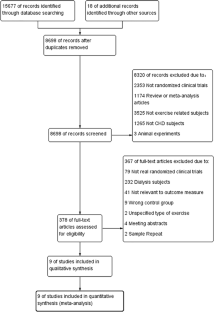 Effects of additional physical exercise on the nutritional status and disease progression during the low-protein diet in Chronic Kidney Disease Patients: a systematic review and meta-analysis