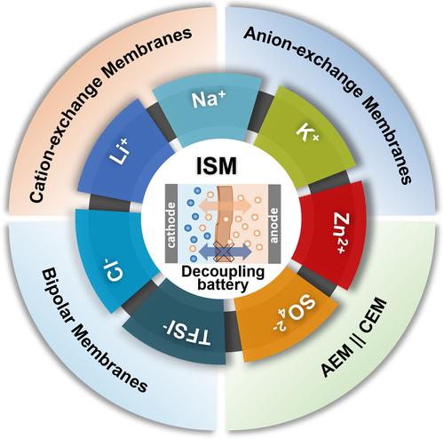 Aqueous decoupling batteries: Exploring the role of functional ion-exchange membrane