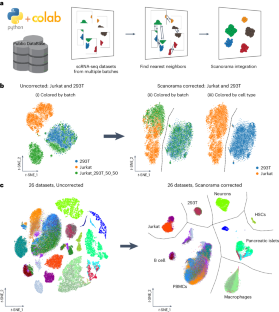 Scanorama: integrating large and diverse single-cell transcriptomic datasets