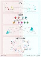 Integrating host and microbiome biology using holo-omics