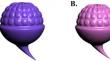 Mental simulation of colour properties during language comprehension: influence of context and comprehension stages.