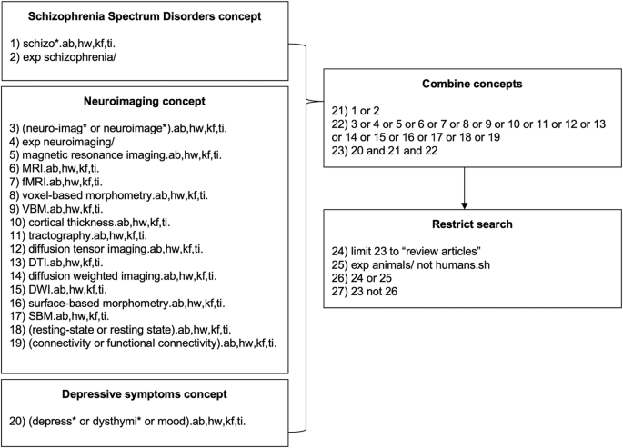 A systematic review of structural and functional magnetic resonance imaging studies on the neurobiology of depressive symptoms in schizophrenia spectrum disorders.