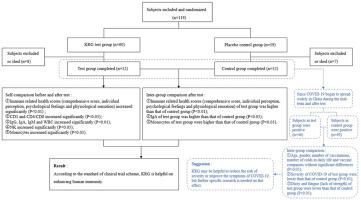 Enhanced immunity effect of Korean Red Ginseng capsule: A randomized, double-blind and placebo-controlled clinical trial