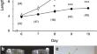 Prolonged exposure to hypergravity increases number and size of cells and enhances lignin deposition in the stem of Arabidopsis thaliana.