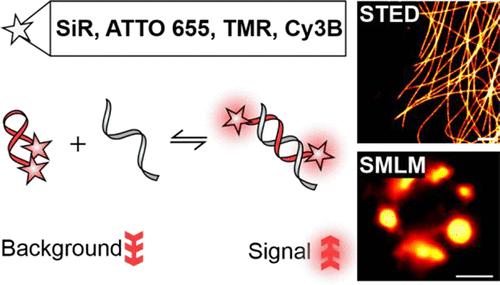 Self-Quenched Fluorophore-DNA Labels for Super-Resolution Fluorescence Microscopy