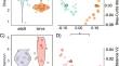 Microbiome Dynamics and Functional Composition in Coelopa frigida (Diptera, Coelopidae): Insights into Trophic Specialization of Kelp Flies.