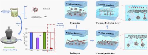 Superdispersed spherical fullerenol and lamellar graphene oxide synergize to enhance the antiwear properties of water-based lubricants: Mathematical model and mechanism investigation