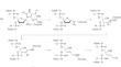 Strategies of N-Glycosidic Bond Cleavage by DNA Repair Enzymes