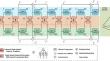 ReBiT-Net: Resource-Efficient Bidirectional Transmission Network for RGB-D Salient Object Detection