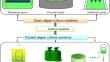 Microalgae-mediated bioremediation: current trends and opportunities-a review.