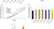 Restricting the level of the proteins essential for the regulation of the initiation step of replication extends the chronological lifespan and reproductive potential in budding yeast.