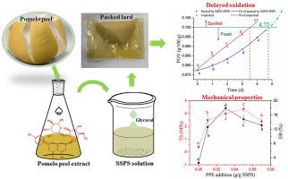 Preparation and characterization of an antioxidant edible film with soluble soybean polysaccharide and pomelo peel extract and its application in lipid packaging