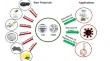 Recent Progress of Fluorescent Carbon Dots and Graphene Quantum Dots for Biosensors: Synthesis of Solution Methods and their Medical Applications.