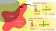 Targeted Alpha Therapy for Glioblastoma: Review on In Vitro, In Vivo and Clinical Trials.