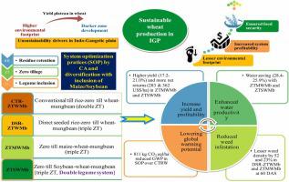 On-farm evidence on breaking yield barriers through optimizing wheat cropping system in Indo Gangetic Plain