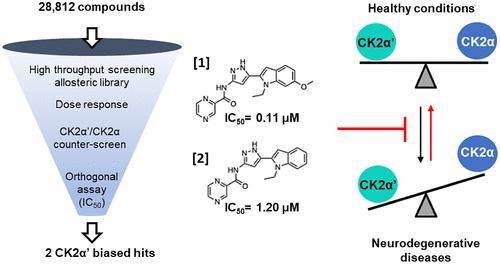 Discovery of a CK2α'-Biased ATP-Competitive Inhibitor from a High-Throughput Screen of an Allosteric-Inhibitor-Like Compound Library.