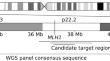 Detection of a major Lynch Syndrome-causing MLH1 founder variant in a large-scale genotyped cohort.