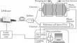 Absorption Spectrum of Pure H2S in the 6227.506–6236.844 and 6244.188–6245.348 cm−1 Ranges: Absorption Line Positions and Intensities, Self-Broadening and Self-Shift Coefficients