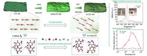 Flame-retardancy cellulosic triboelectric materials enabled by hydroxyl ionization