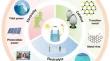 Next-Generation Green Hydrogen: Progress and Perspective from Electricity, Catalyst to Electrolyte in Electrocatalytic Water Splitting.