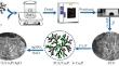 Construction of ZCS/Cu3P/AgCl Composites for Enhanced Removal of Rhodamine B: Performance and Mechanism