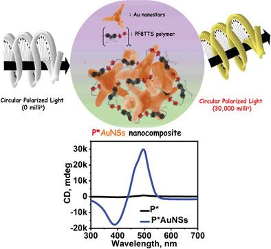 Giant Plasmonic Enhancement of Chiroptical Properties by Anisotropic Gold Nanocrystals Grown In Situ in a Chiral Polymer