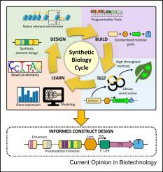 Sourcing DNA parts for synthetic biology applications in plants