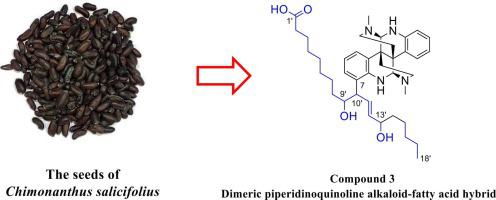 Dimeric piperidinoquinoline alkaloids from the seeds of Chimonanthus salicifolius