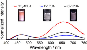 Substituent effects of halogens on the excited-state intermolecular proton transfer reactions.