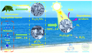 Phyto-Assisted Preparation of Fe2O3 Nanofins Using Elaeocarpus hygrophilus Leaves Extract/Cyano Group Modified Graphitic Carbon Nitride Nanosheets for Enhancing Photocatalytic Efficiency