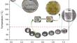 Thermoplastic Chitosan Plasticized with Deep Eutectic Solvent Derived from Gamma-valerolactone