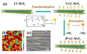 Study on the preparation and fretting behavior of bonded oriented MoS2 solid lubricant coating