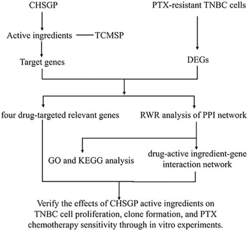 Exploration of the sensitization effect of Chaihu Shugan powder on chemotherapy for triple-negative breast cancer and its active ingredients