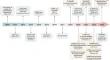 The heterogeneity of erythroid cells: insight at the single-cell transcriptome level.