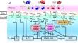 Integrated Transport Model for Controlled Delivery of Short-Lived Reactive Species via Plasma-Activated Liquid with Practical Applications in Plant Disease Control