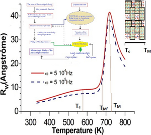 Microscopic Study of the AC Conductivity in MgFe2O4. Appearance of the Magnetic Polaron