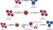 A Label-Free Colorimetric AuNP-Aptasensor for the Rapid Detection of Vibrio cholerae O139