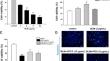 Exploring the preventive effects of Jie Geng Tang on pulmonary fibrosis induced in vitro and in vivo: a network pharmacology approach.